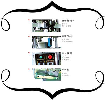 全自動(dòng)孜然粉包裝機